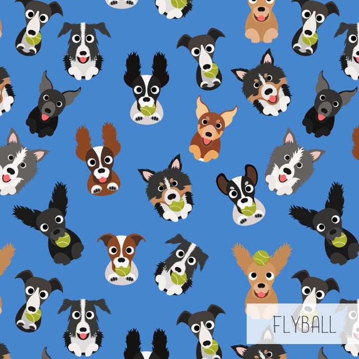 Unisex Leggings | FlyBall